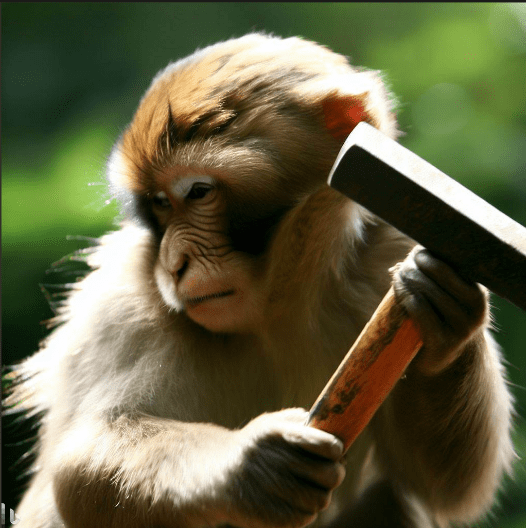 Uso de ferramentas por macacos é parecido a de seres humanos